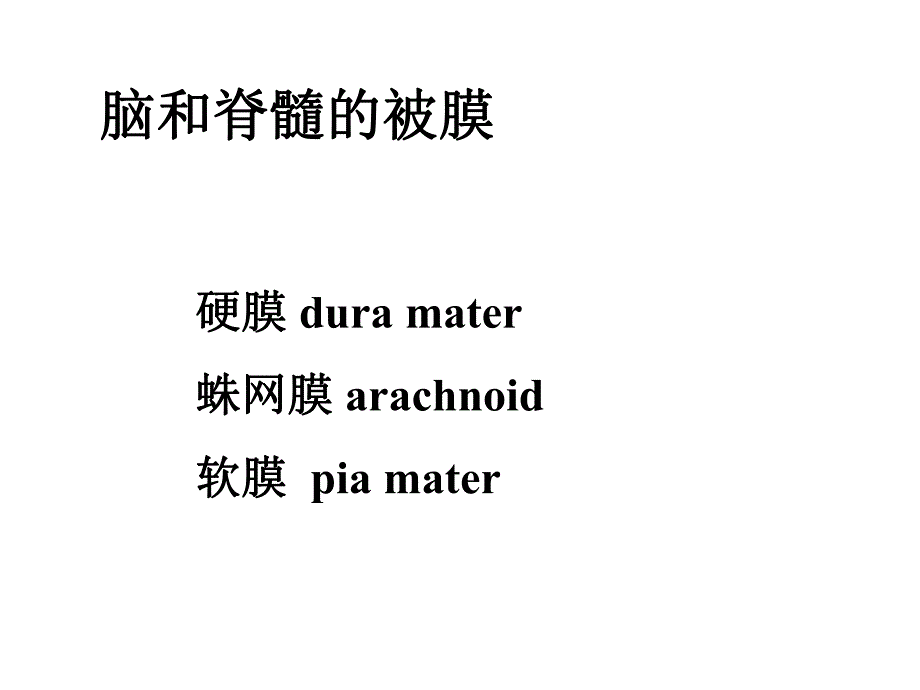 脑脊髓被膜血管脑室脑脊液.ppt_第2页