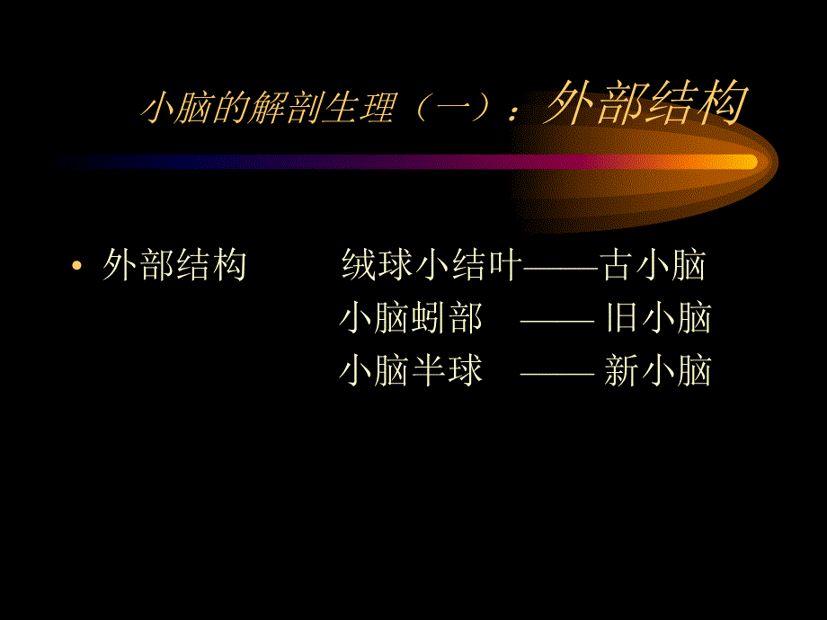 小脑定位诊断及疾病（周珂） .ppt_第3页