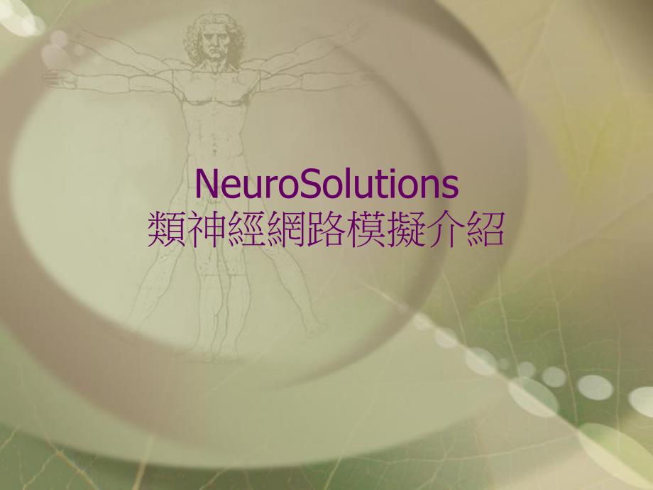 NeuroSolutions类神经网路模拟介绍.ppt_第1页