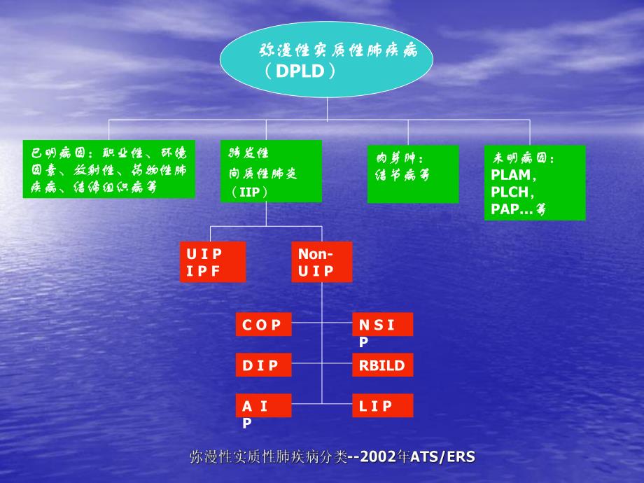 弥漫性肺疾病的HRCT诊断.ppt_第3页