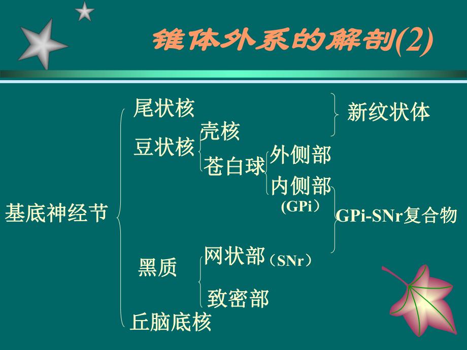 帕金森的药物治疗.ppt_第3页