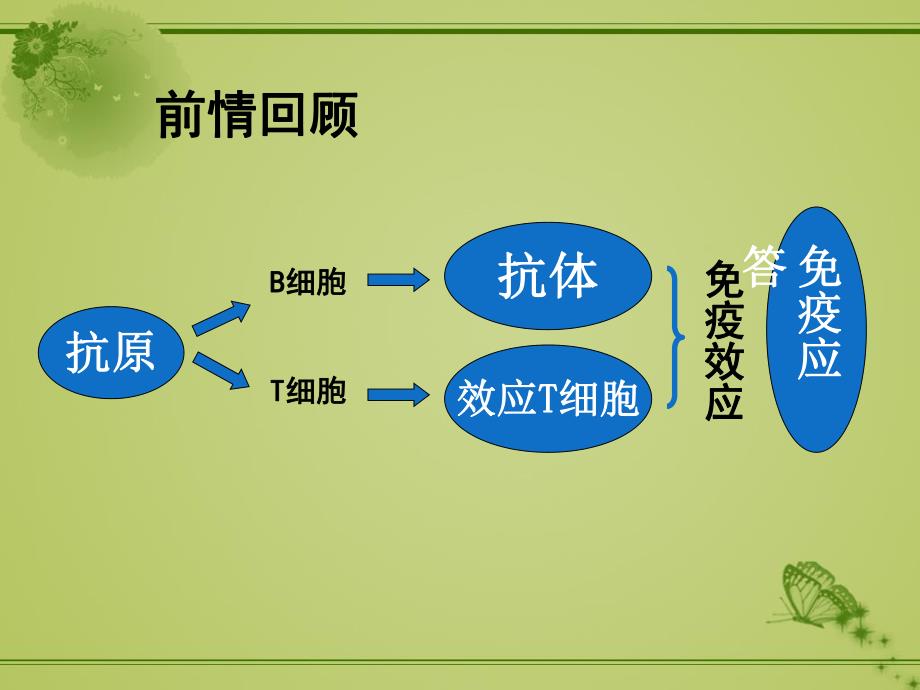 I型超敏反应性疾病.ppt_第2页