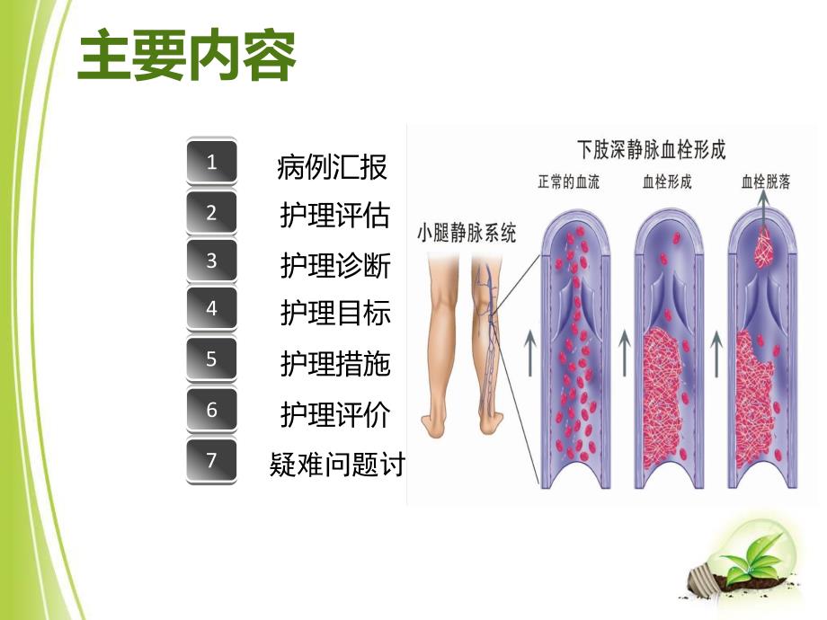 重度颅脑损伤患者并发症护理.ppt_第2页