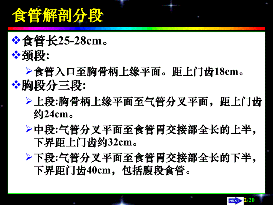 【心胸外科】食管癌.ppt_第2页