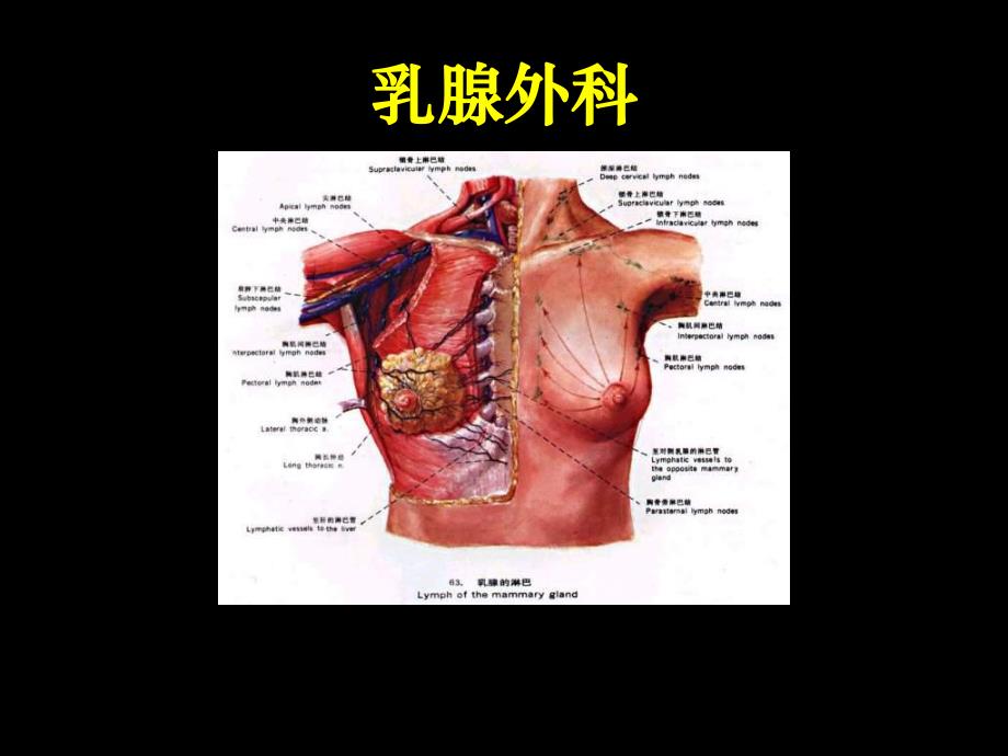 【临床医学】乳腺外科.ppt_第1页