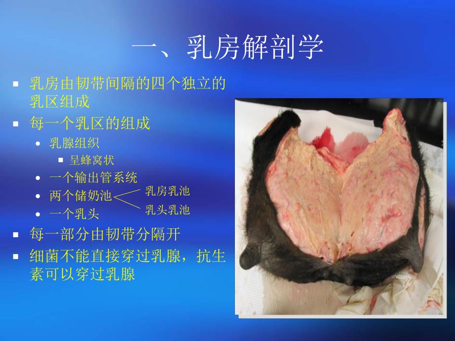 奶牛乳房炎综合防治.ppt_第2页