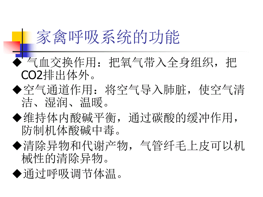 冬季家禽常见病防制.ppt_第3页