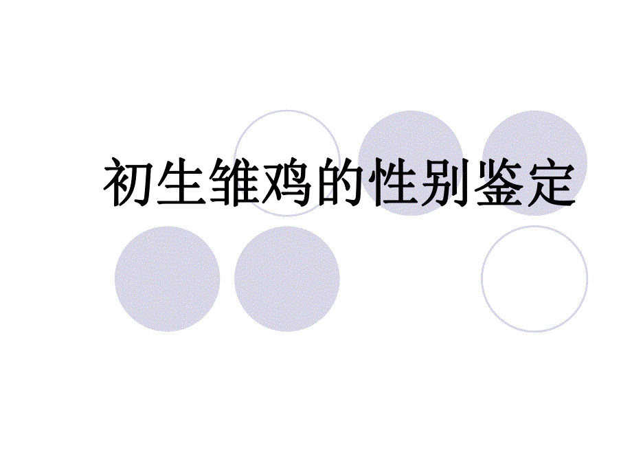 初生雏鸡的性别鉴定.ppt_第1页