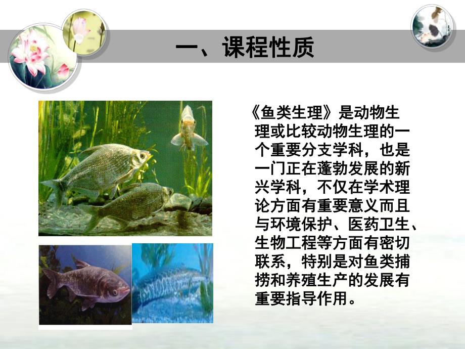 水产动物生理说课.ppt_第2页