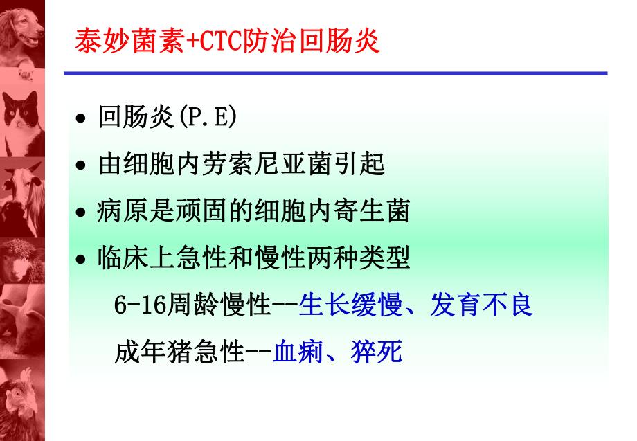 回肠炎的控制.ppt_第2页