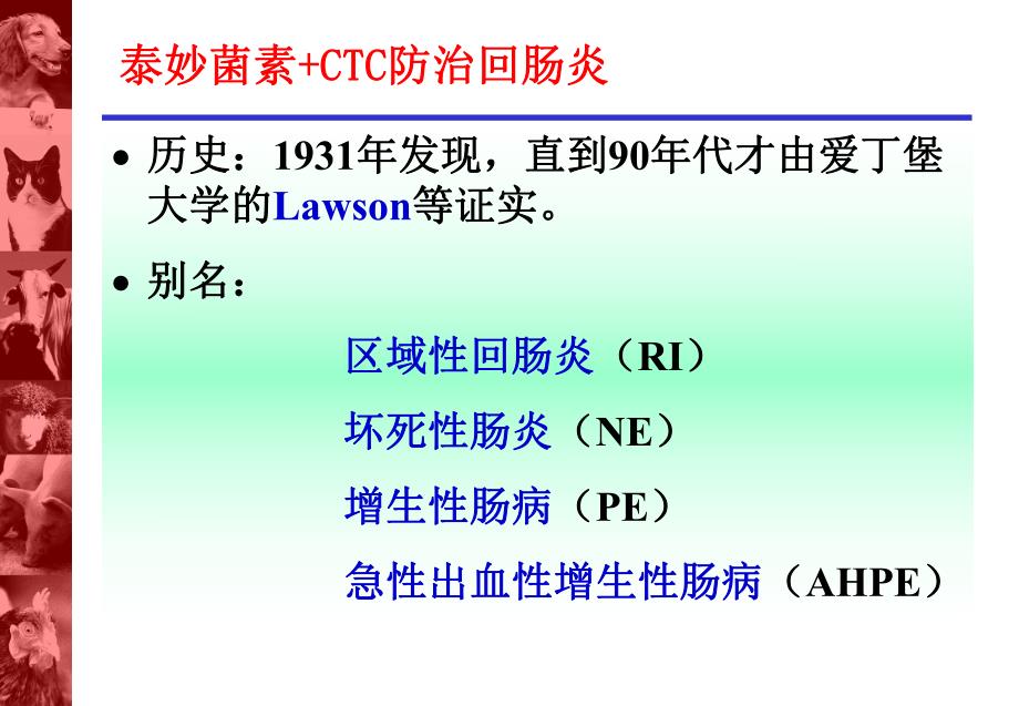 回肠炎的控制.ppt_第3页