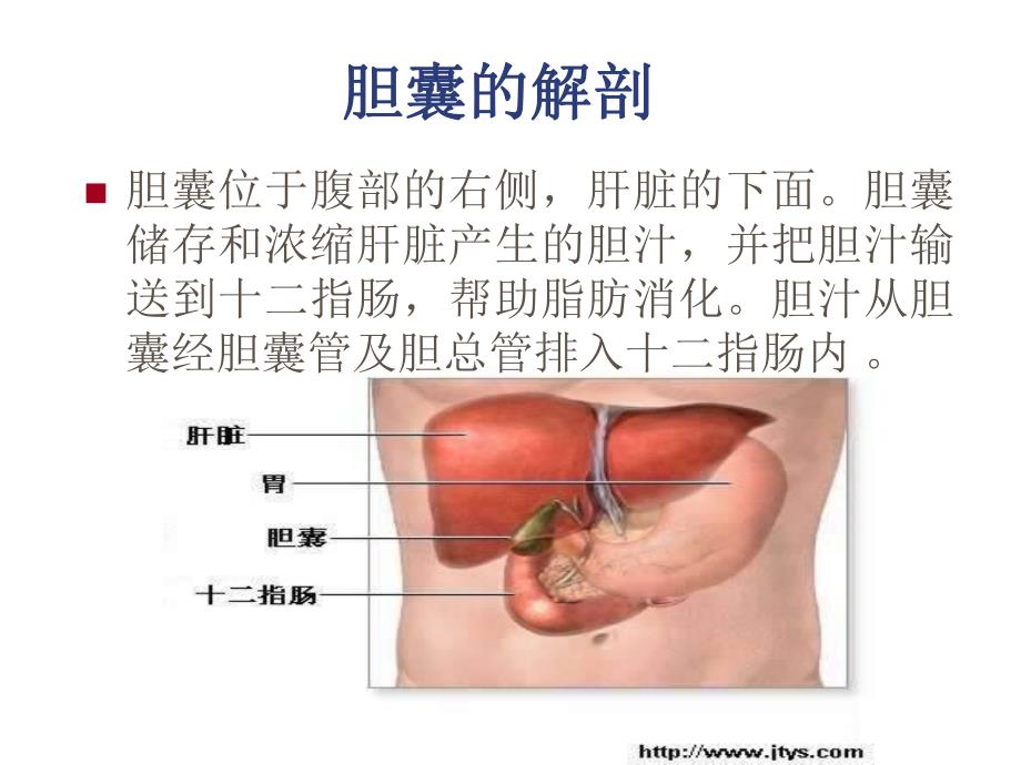 .2胆囊结石胆囊炎围手术期护理_第2页