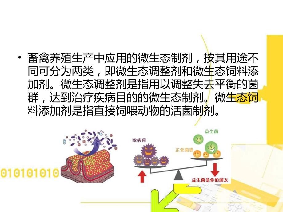 微生态制剂在畜禽养殖中的功效及其注意事项.ppt_第2页