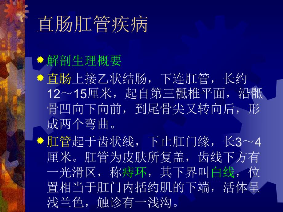 中医外科肛门直肠疾病.ppt_第2页