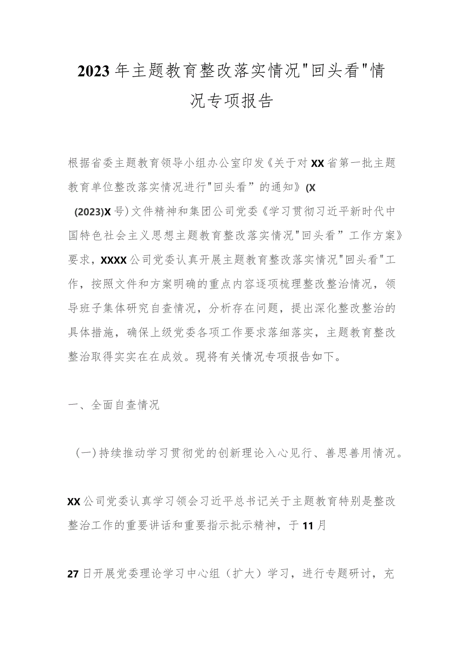 2023年主题教育整改落实情况“回头看”情况专项报告.docx_第1页