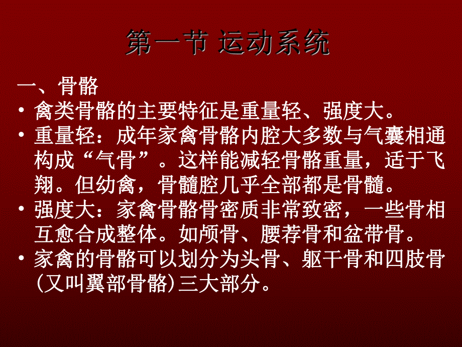 家禽解剖.ppt_第3页