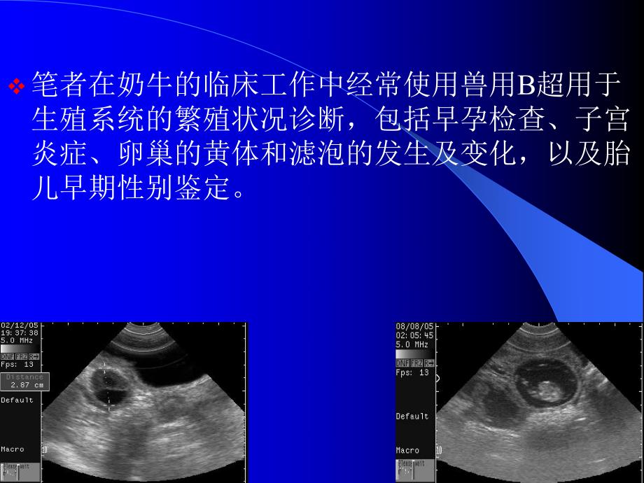 奶牛B超奶牛早孕与繁殖疾病诊断新技术.ppt_第3页