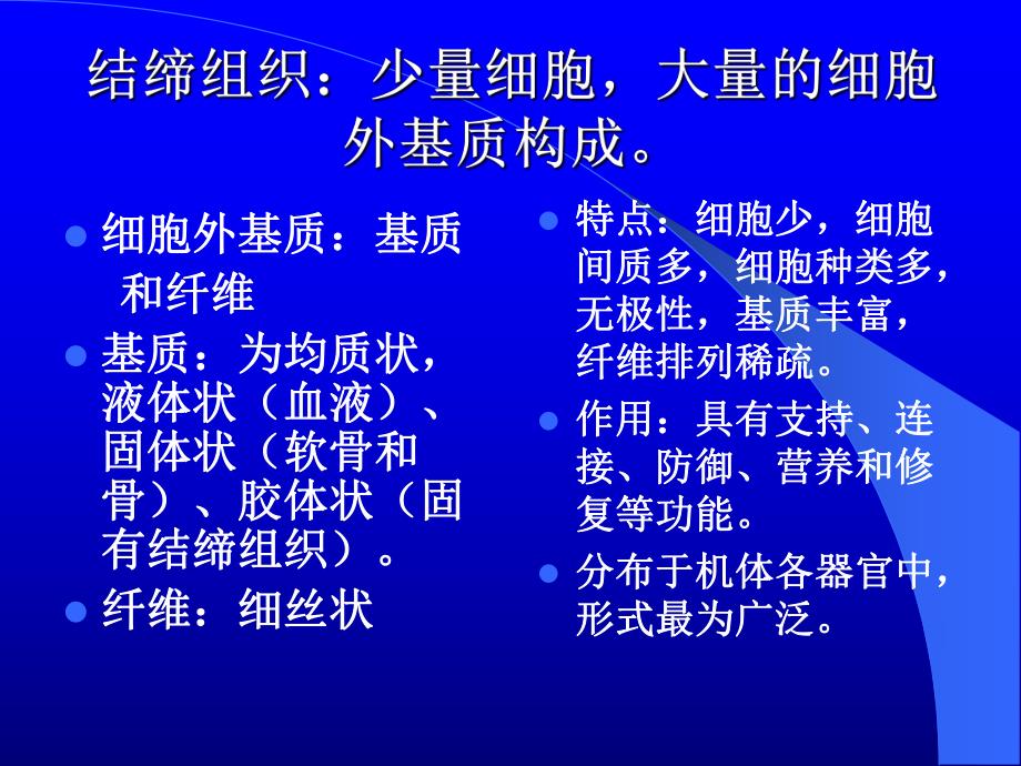 组织胚胎学结缔组织.ppt_第2页