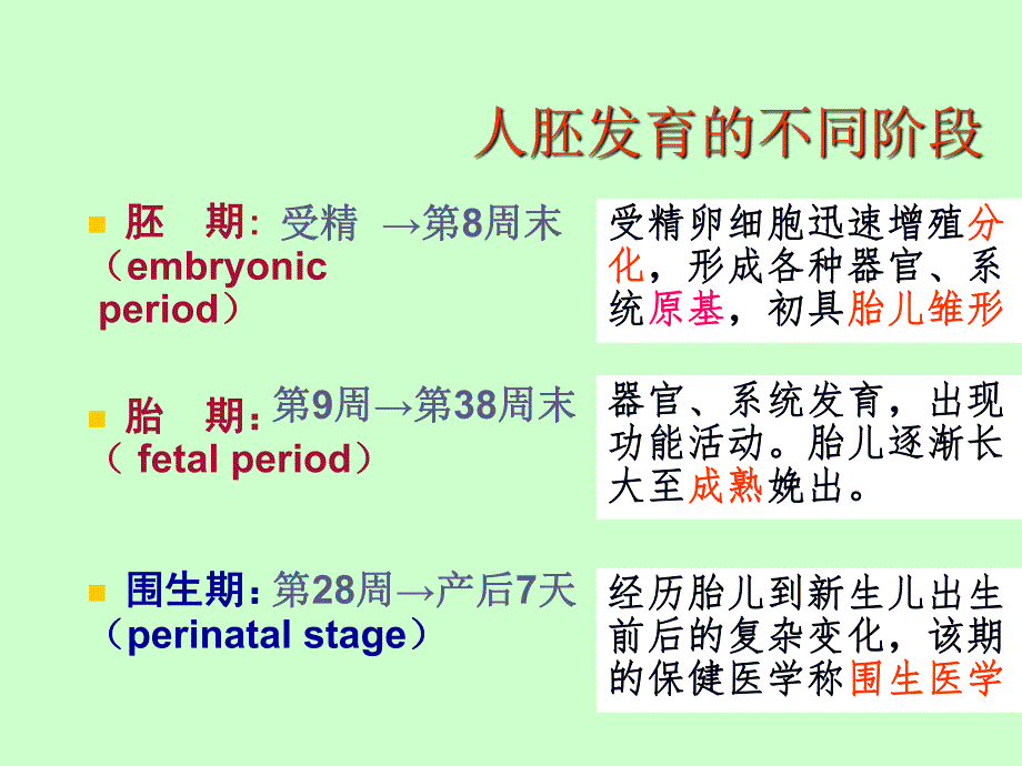 人体胚胎学.ppt.ppt_第3页