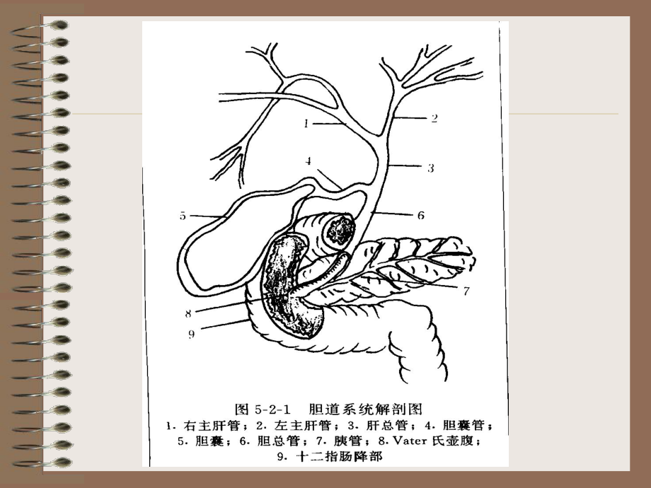 6、CT胆道影像学表现.ppt_第2页