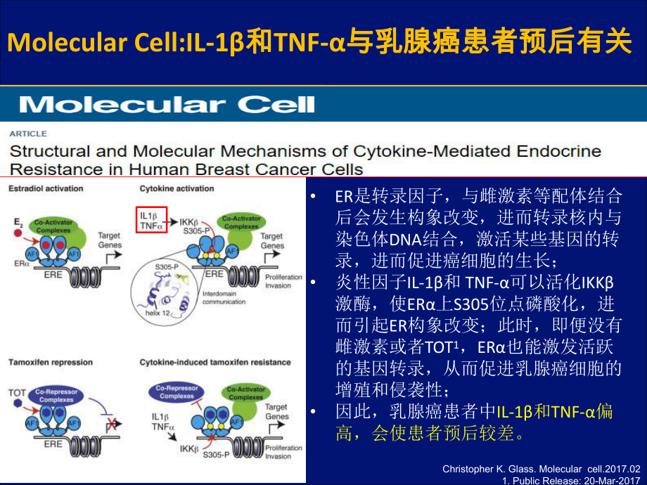 乳腺癌-ER-耐药.ppt_第1页