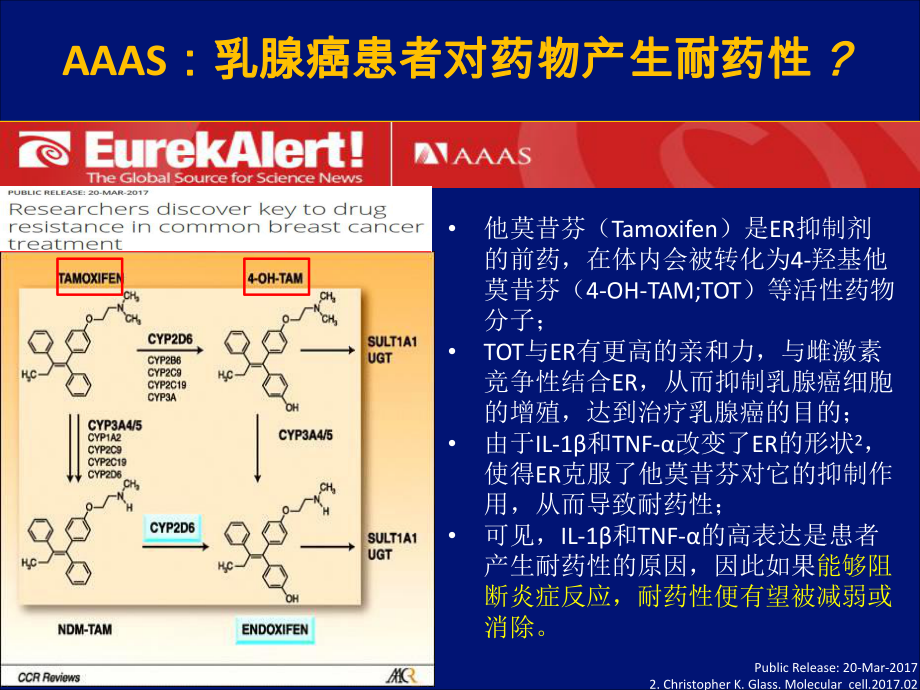 乳腺癌-ER-耐药.ppt_第2页