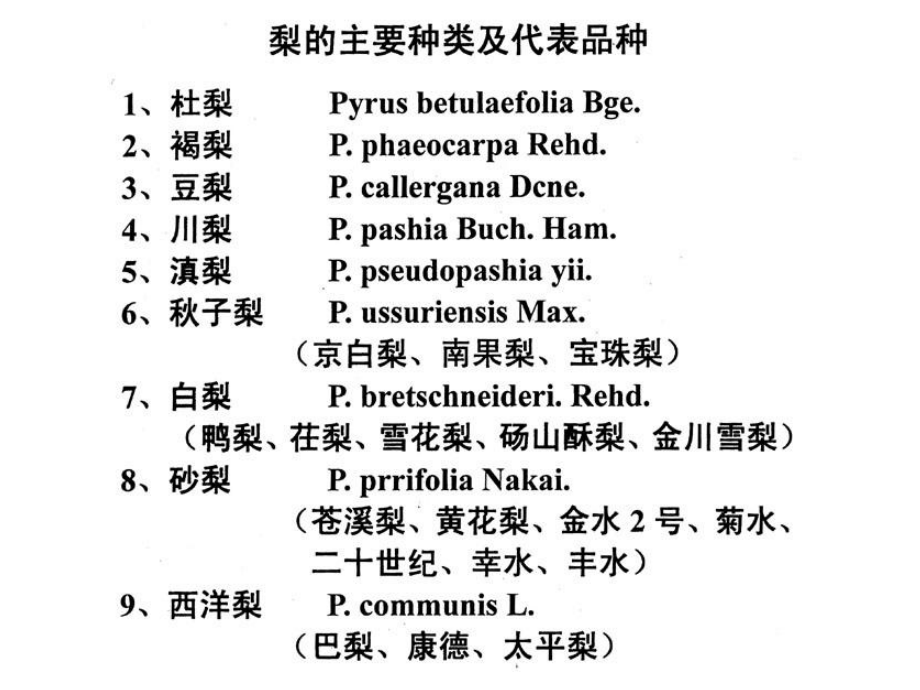 梨子栽培技术.ppt_第3页