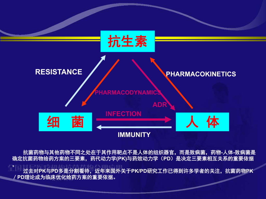 6.抗菌药物PK-PD与临床应用研究.ppt_第3页