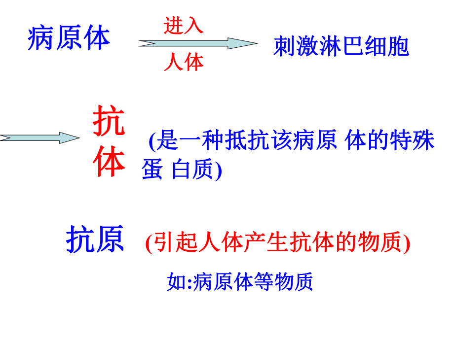 传染病、免疫.ppt_第3页