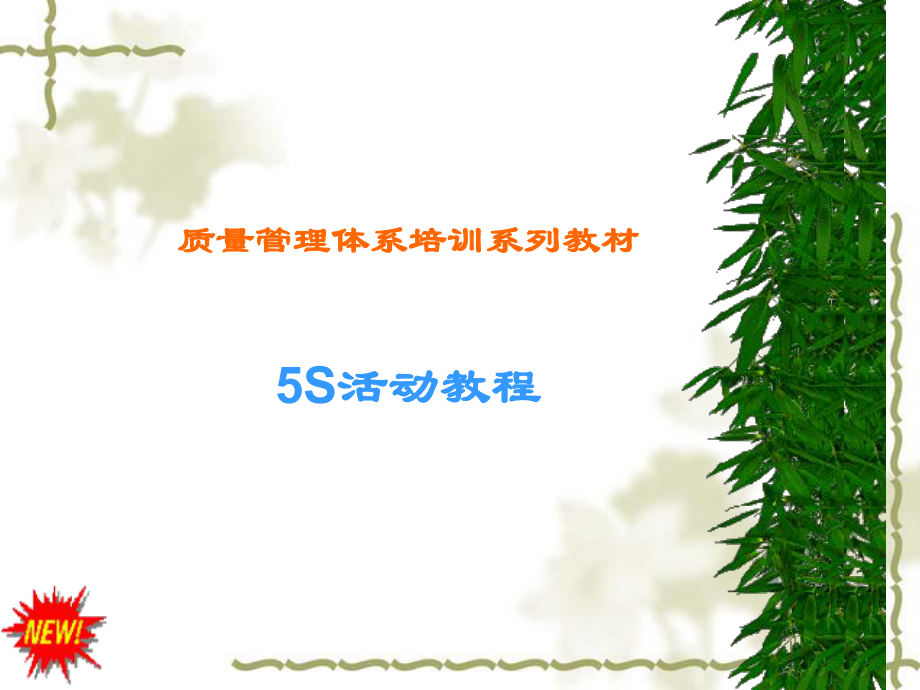 5S培训资料.ppt_第1页