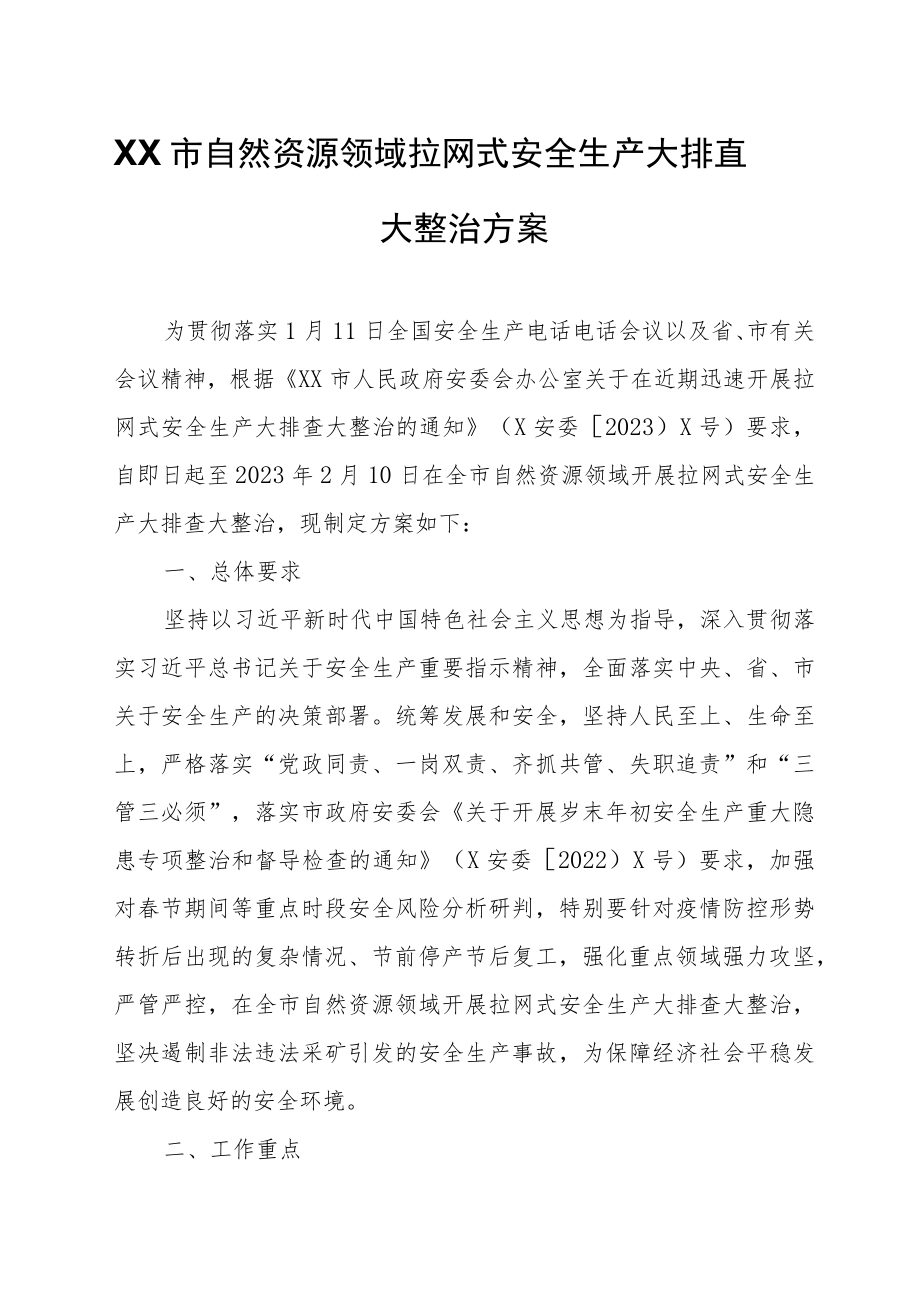 XX市自然资源领域拉网式安全生产大排查大整治方案.docx_第1页