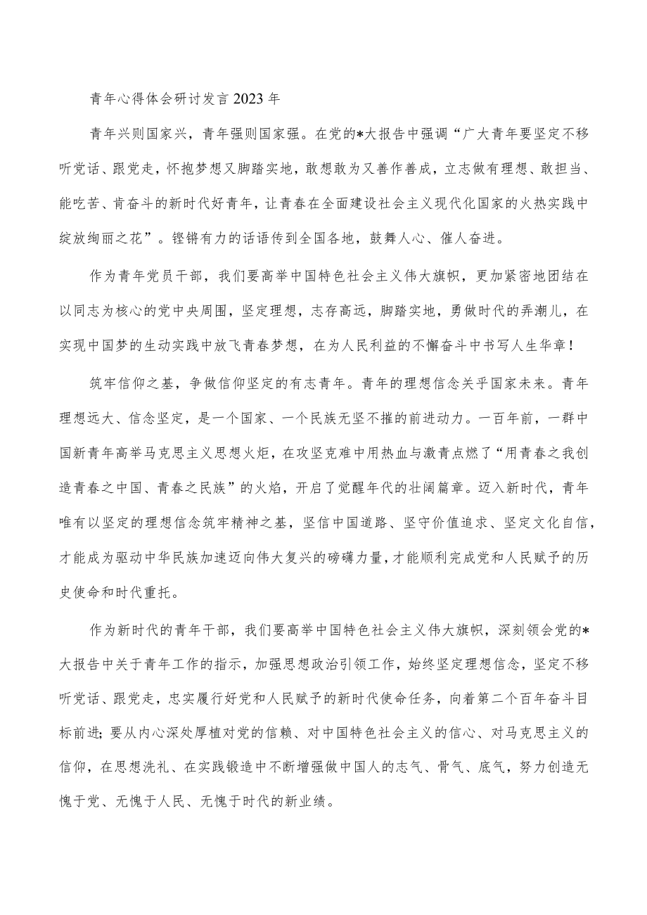 青年心得体会研讨发言2023年.docx_第1页