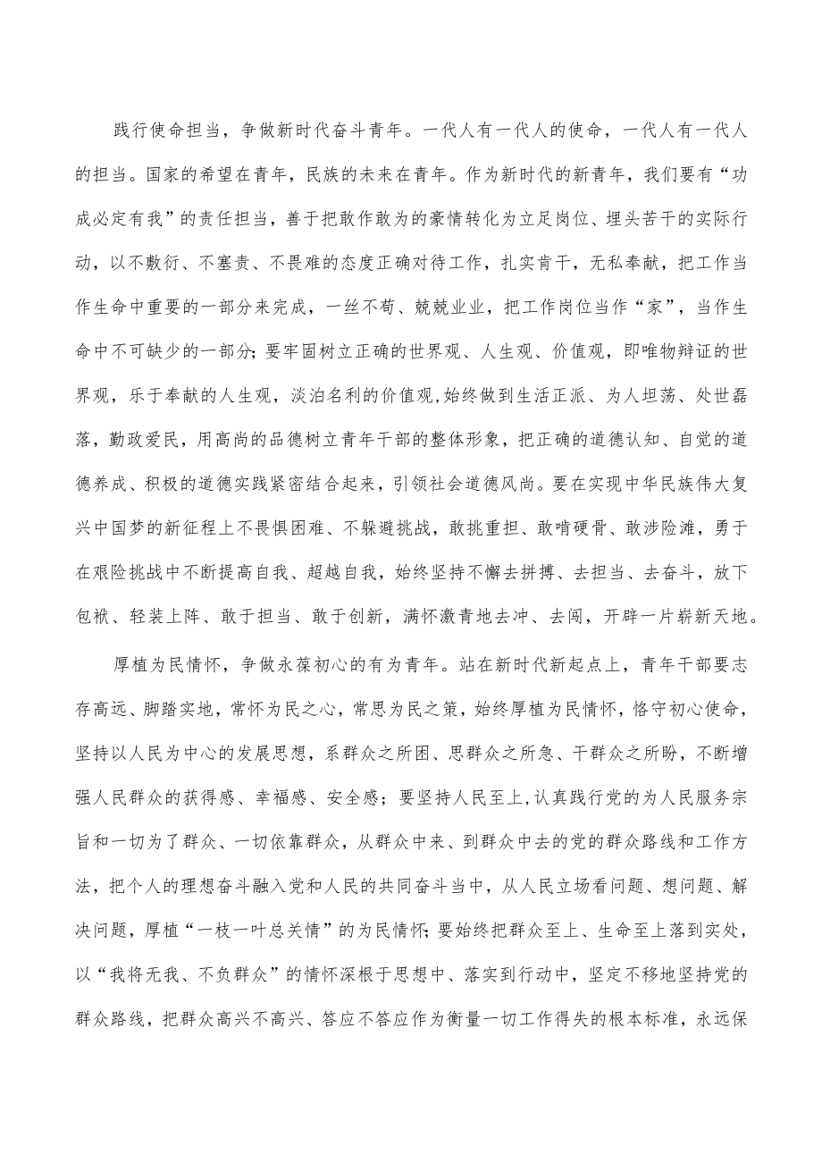 青年心得体会研讨发言2023年.docx_第2页