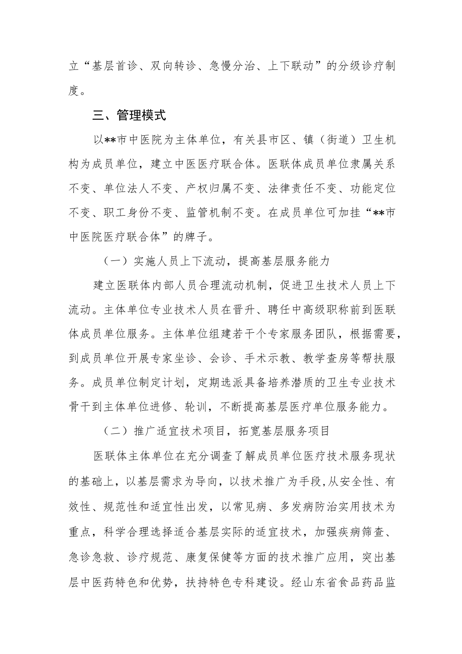 中医院医疗联合体工作实施方案及协议书.docx_第2页