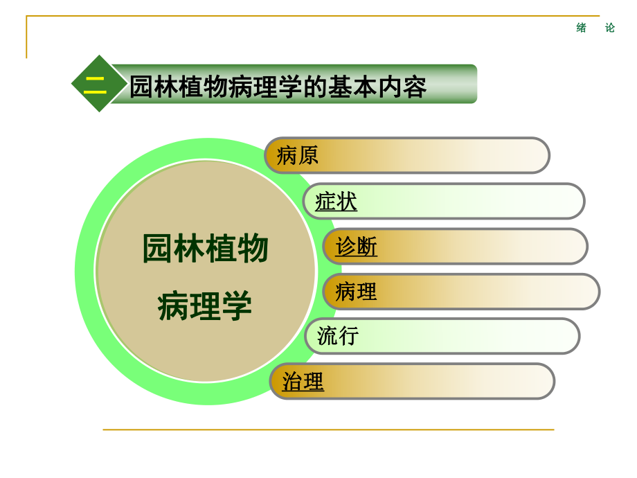 园林病虫害防治.ppt_第3页