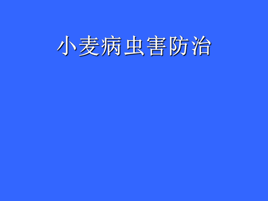 小麦病虫害防治.ppt_第1页