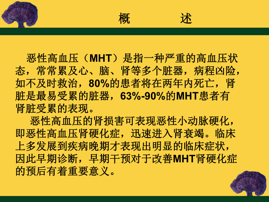 恶性高血压肾硬化症.ppt_第2页