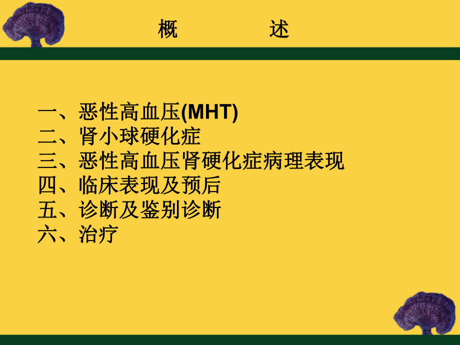 恶性高血压肾硬化症.ppt_第3页