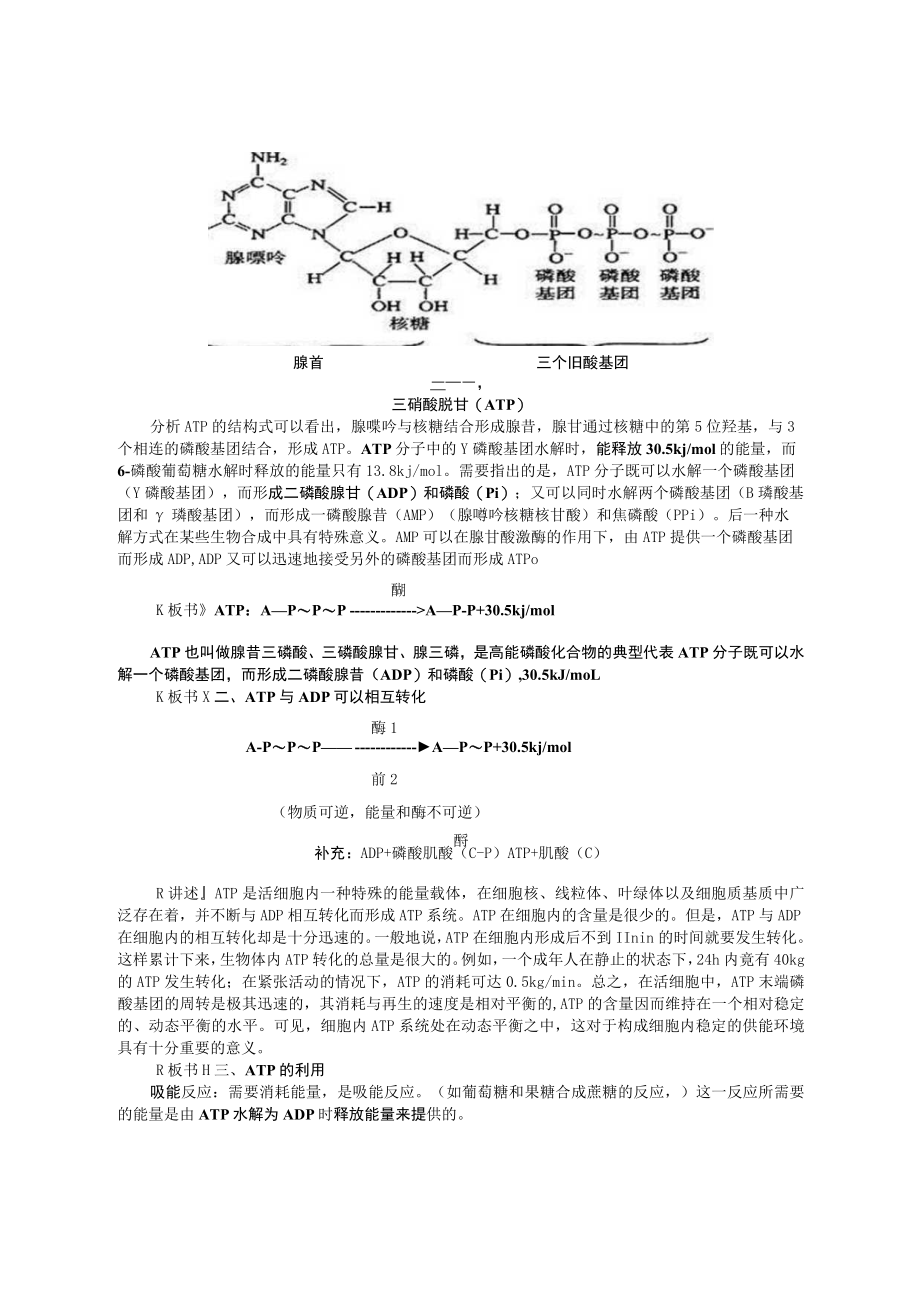 细胞的能量“通货”──ATP 教学设计.docx_第2页