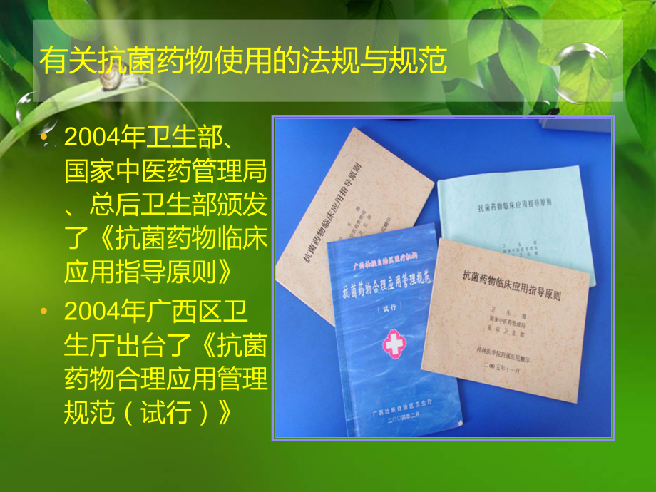 抗生素的临床合理应用幻灯片.ppt_第3页