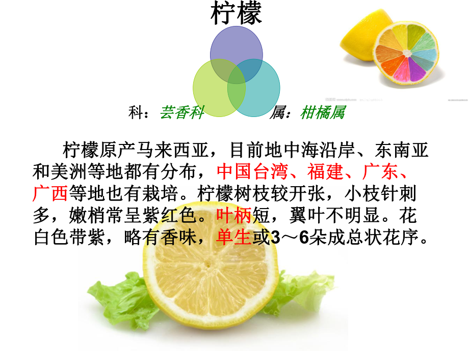 柠檬栽培与管理技术.ppt_第3页