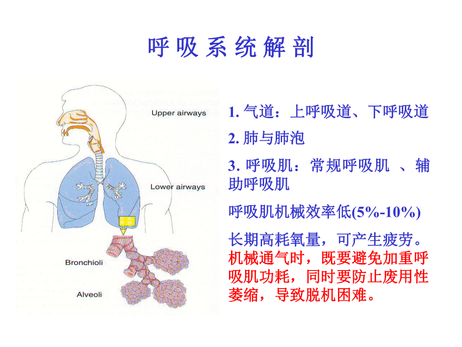 机械通气及临床应用.ppt_第2页