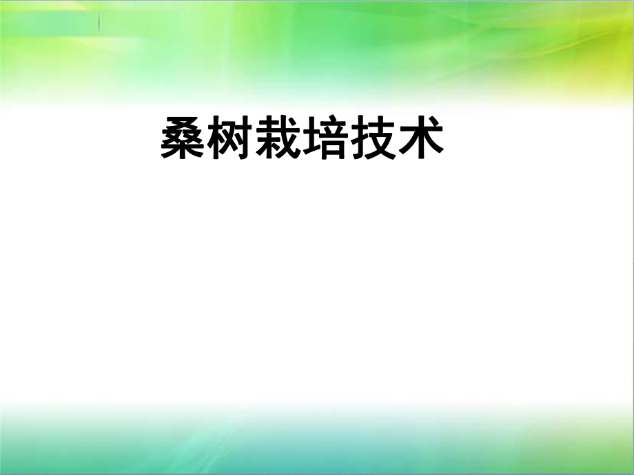 桑树栽培技术.ppt_第1页