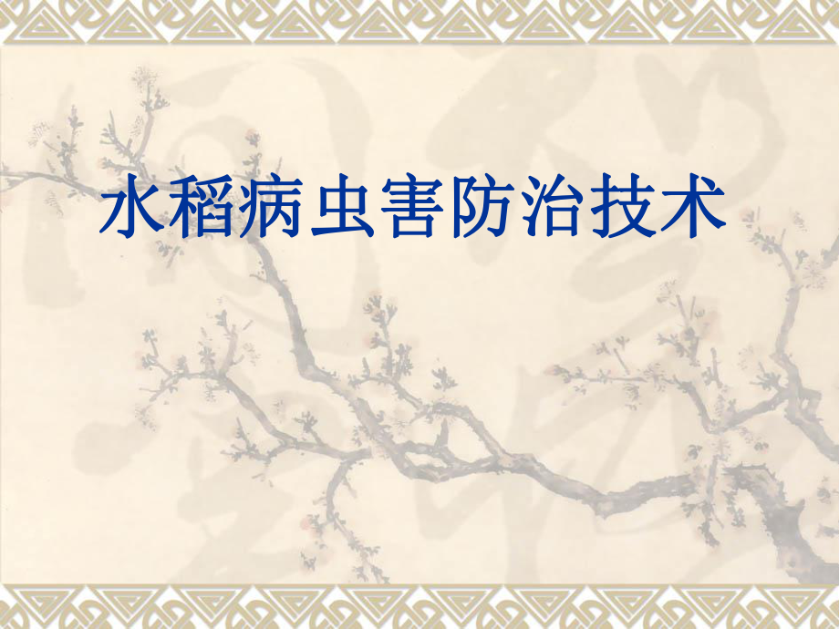 水稻病虫害防治.ppt_第1页