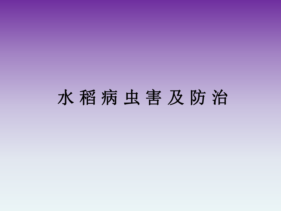 水稻病虫害及防治.ppt_第1页