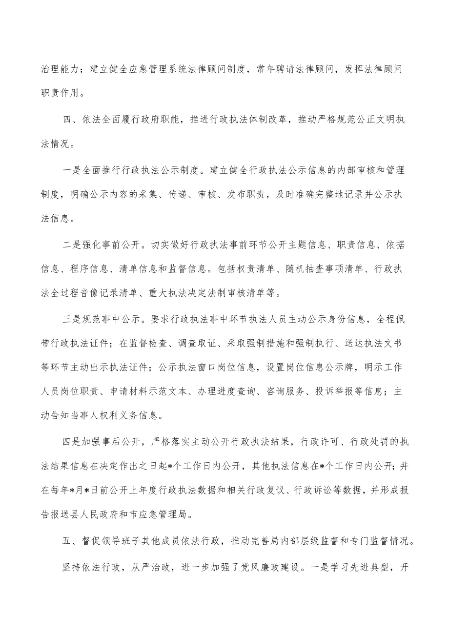 应急履行法治建设总结述职报告.docx_第3页