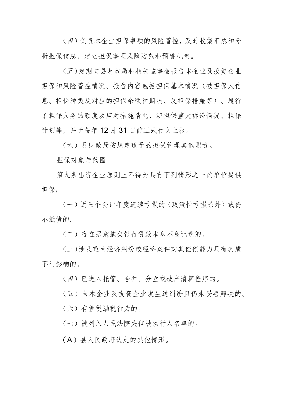 政府监管企业担保管理制度.docx_第3页