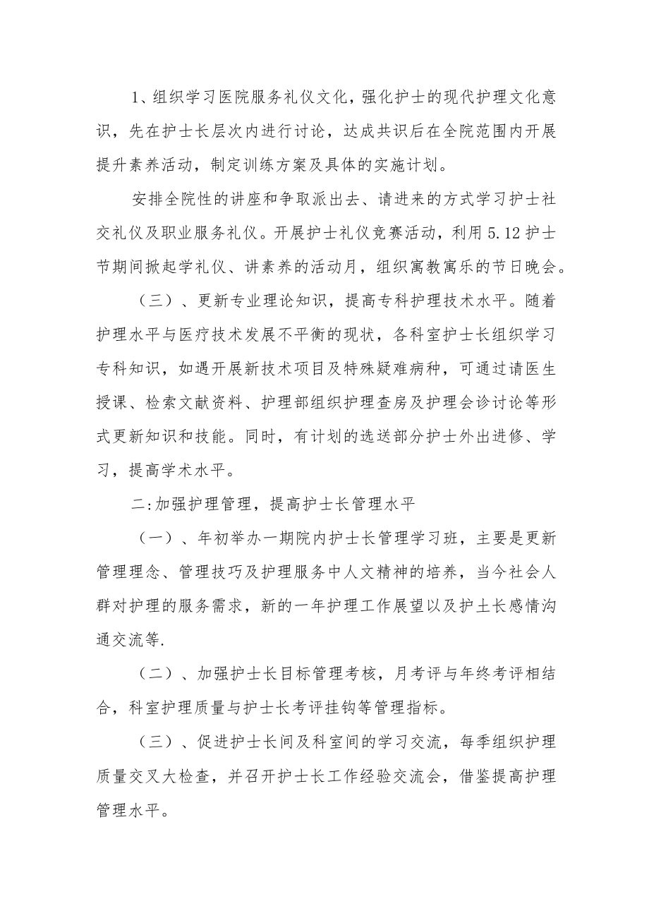 医院护理部年度工作计划.docx_第2页