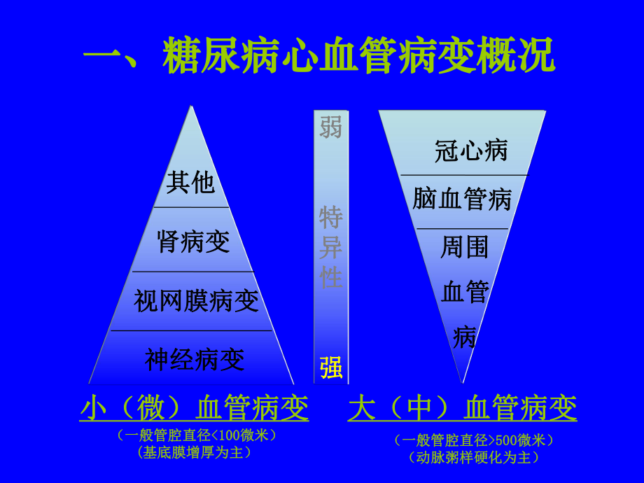 糖尿病心血管病变.ppt_第2页