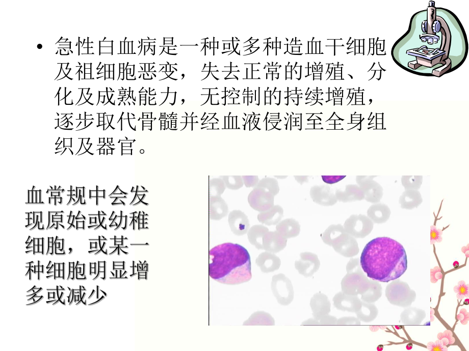 白血病的健康教育.ppt_第2页